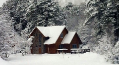 Condominio Bosque Queule