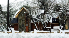 Condominio Bosque Queule