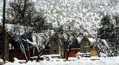 Condominio Bosque Queule