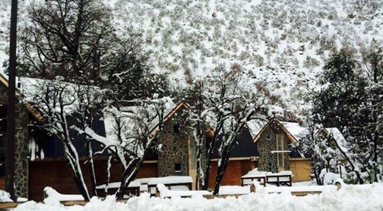 Condominio Bosque Queule