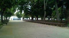 Remodelacion Plaza de Armas, Molina